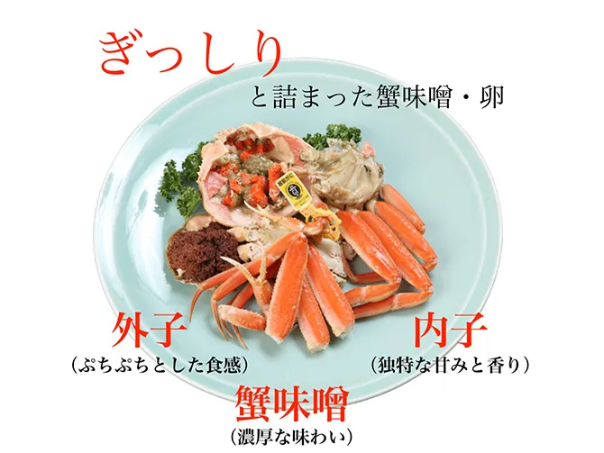 【越前産せいこがに】漁期あとわずか!!