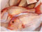 活魚