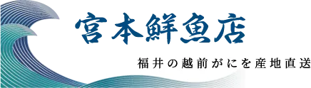 宮本鮮魚店/福井の越前がにを産地直送販売