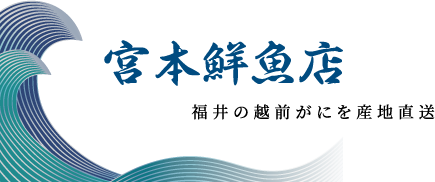 宮本鮮魚店