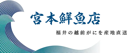 宮本鮮魚店/福井の越前がにを産地直送販売