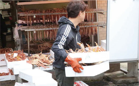 産地直送4